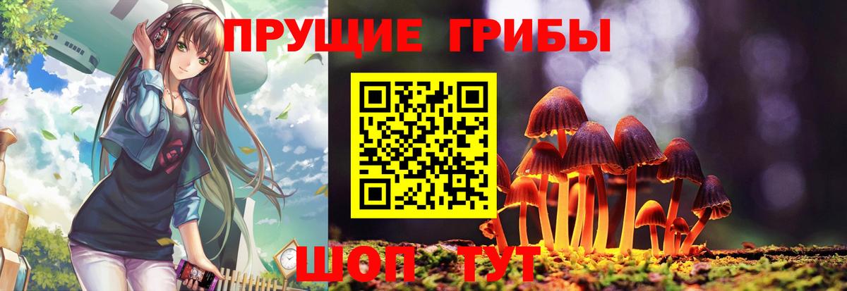 Апшеронск  Псилоцибиновые грибы Cubensis  Псилоцибиновые грибы Psilocybine cubensis  Вход с VPN 